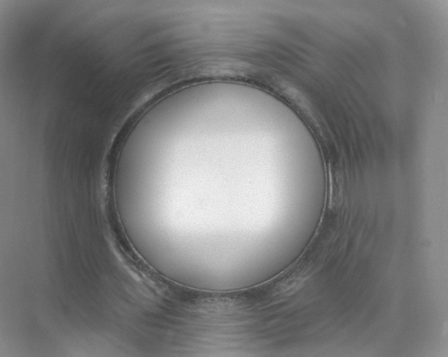 X0000073870435200608312056