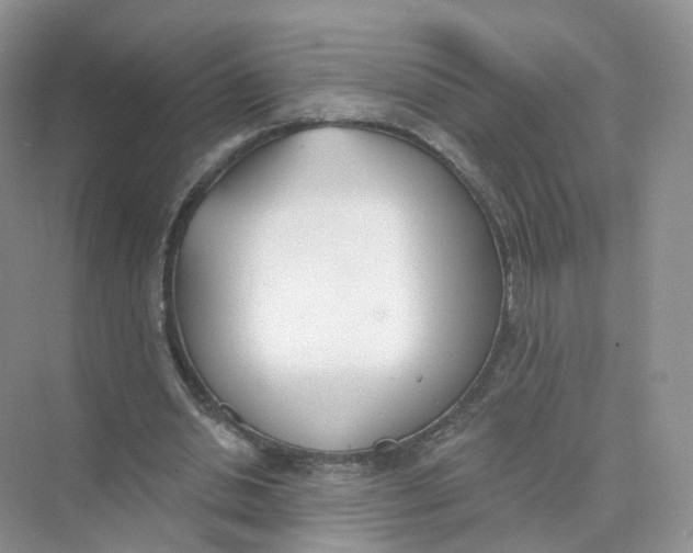 X0000073870438200608312056