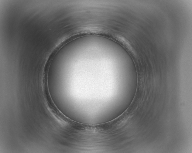 X0000073870439200608312056