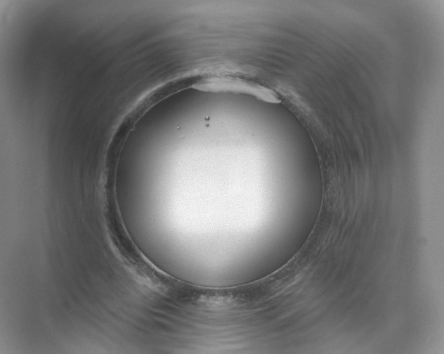 X0000073870440200608312056