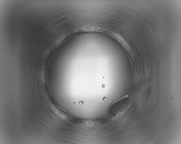 X0000073870441200608312056