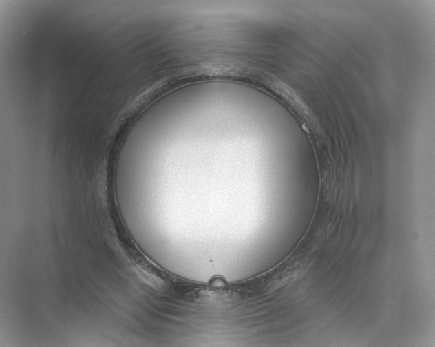 X0000073870442200608312057