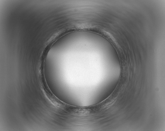 X0000073870443200608312057