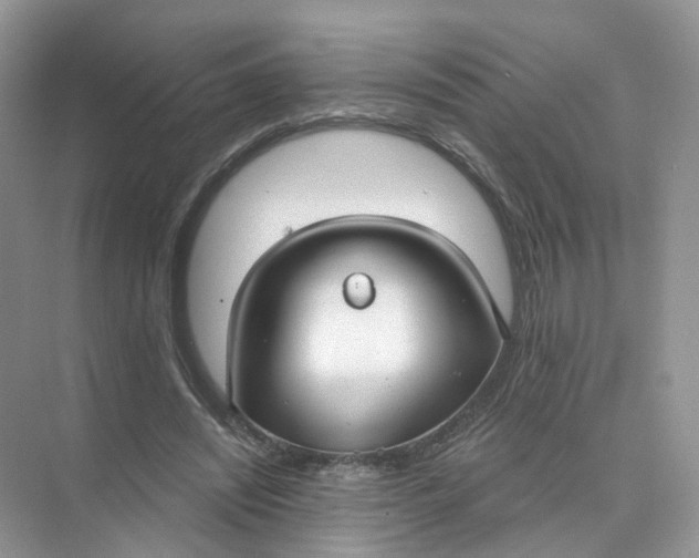 X0000073870444200608312057