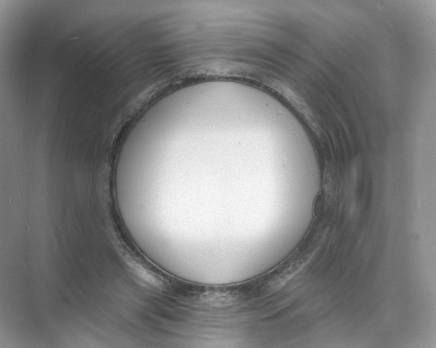 X0000073870445200608312057