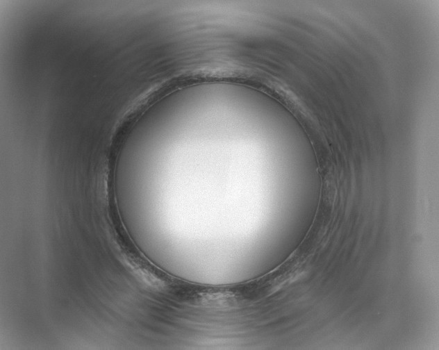 X0000073870446200608312057