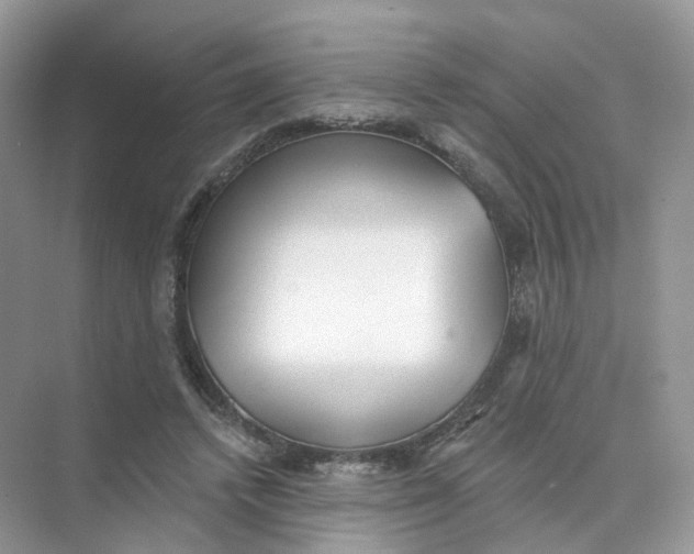 X0000073870448200608312057