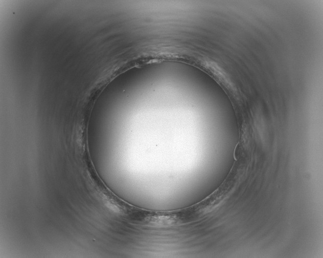 X0000073870449200608312057