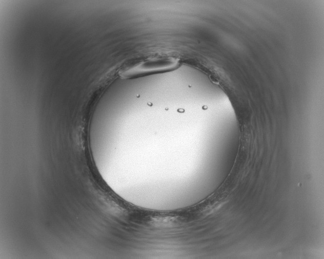 X0000073870450200608312057