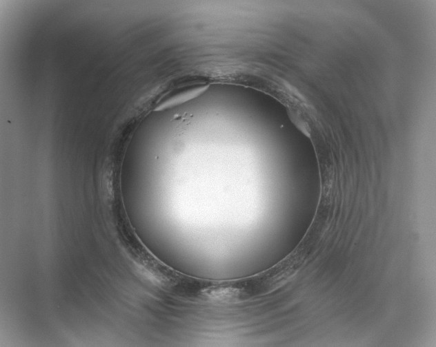 X0000073870452200608312057