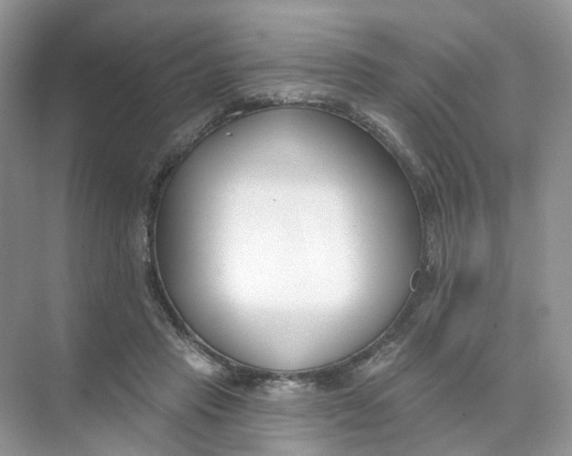 X0000073870453200608312057