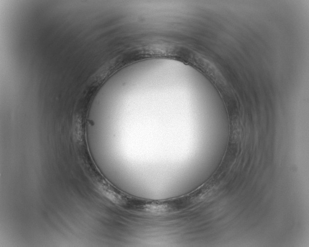 X0000073870457200608312057