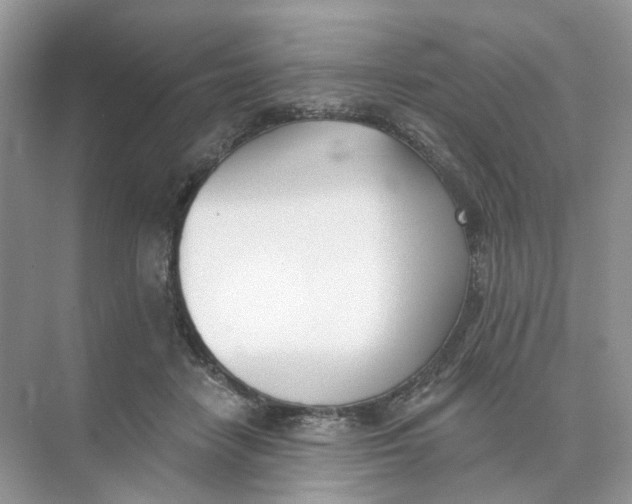 X0000073870458200608312057