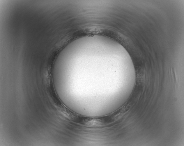 X0000073870460200608312057