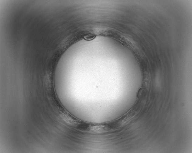 X0000073870461200608312057