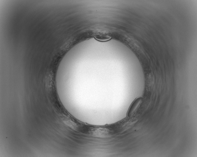 X0000073870463200608312057