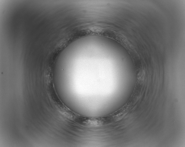 X0000073870464200608312057