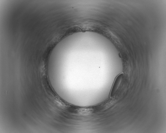 X0000073870465200608312057