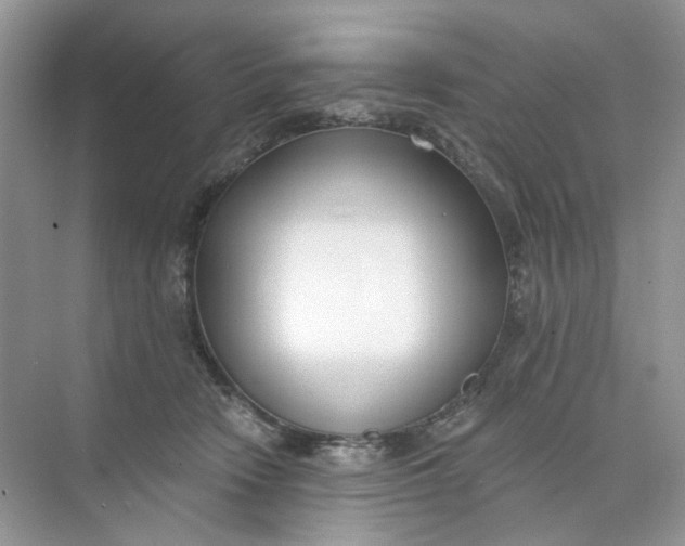 X0000073870466200608312057