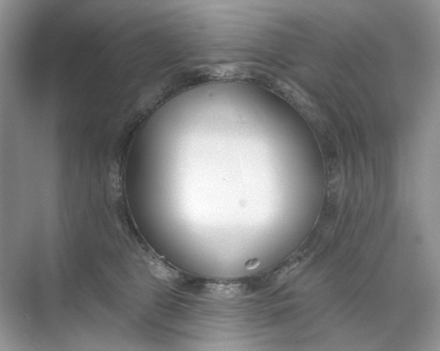 X0000073870469200608312057