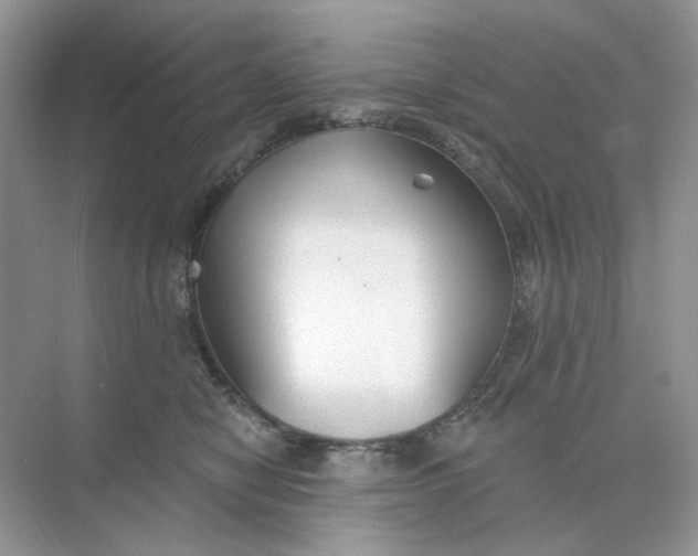 X0000073870470200608312057