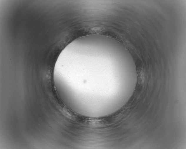 X0000073870472200608312057