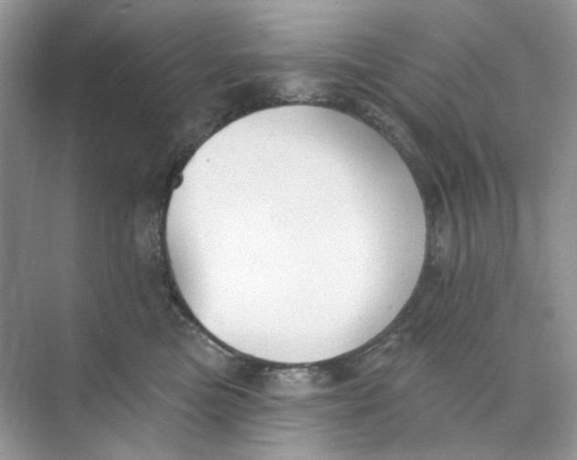 X0000073870473200608312057