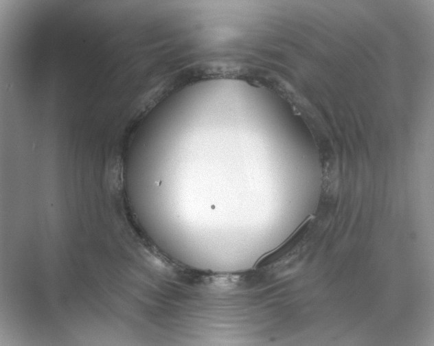 X0000073870474200608312057