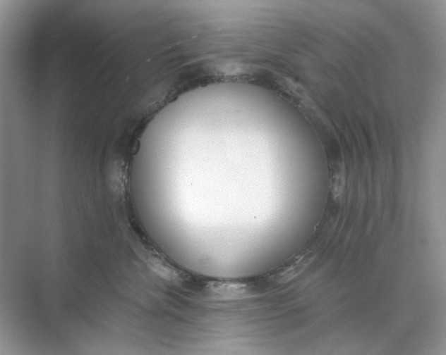 X0000073870476200608312057