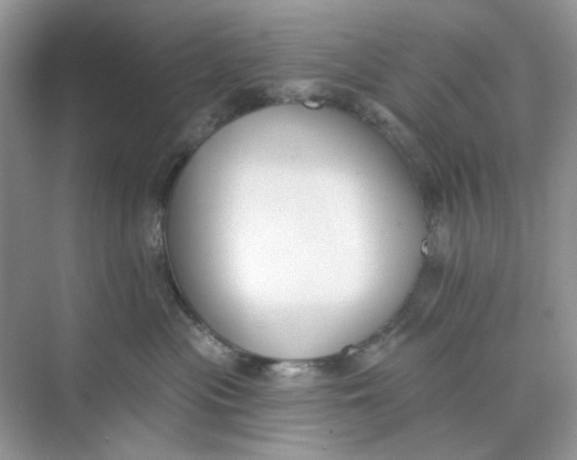 X0000073870477200608312057