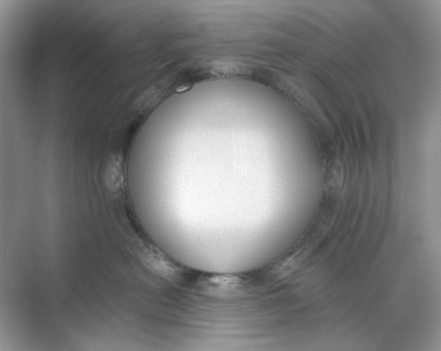 X0000073870478200608312057