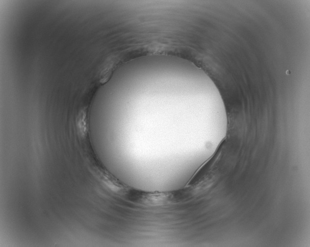 X0000073870479200608312057