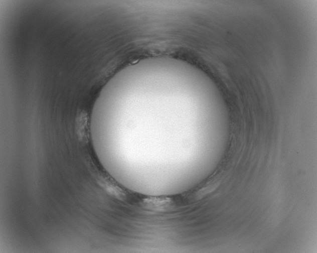 X0000073870480200608312057