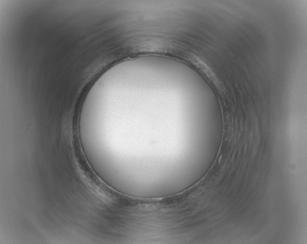 X0000073870482200608312056