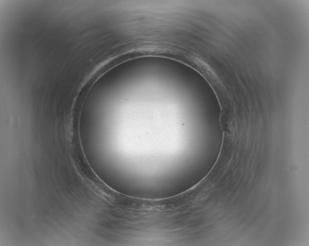 X0000073870484200608312056