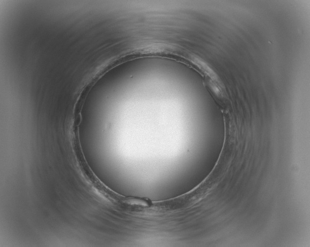 X0000073870485200608312056