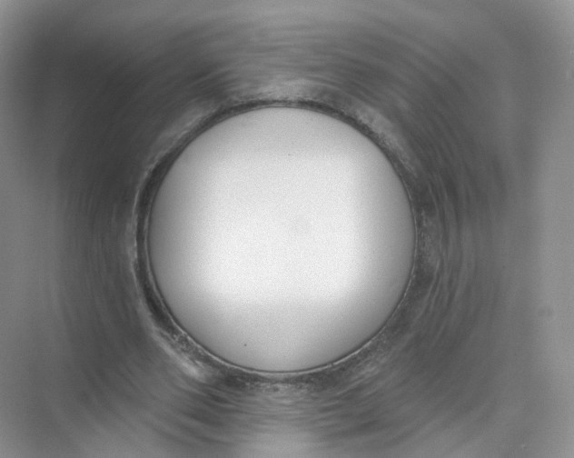 X0000073870486200608312056