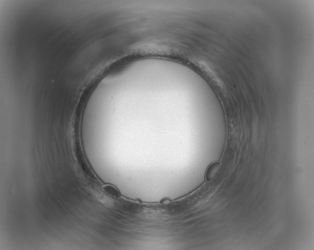 X0000073870487200608312056