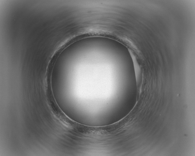 X0000073870488200608312056