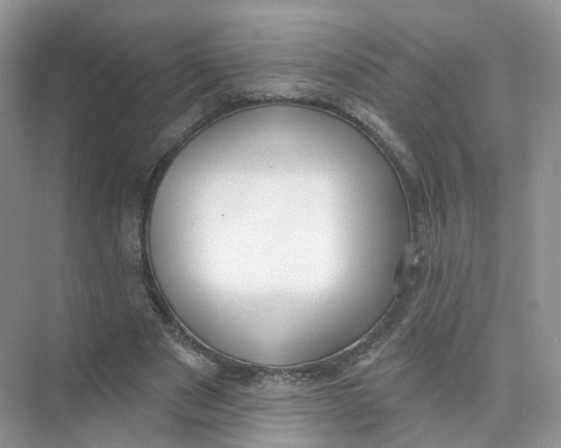 X0000073870489200608312056