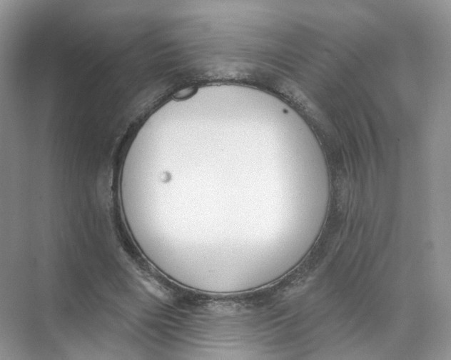 X0000073870490200608312056