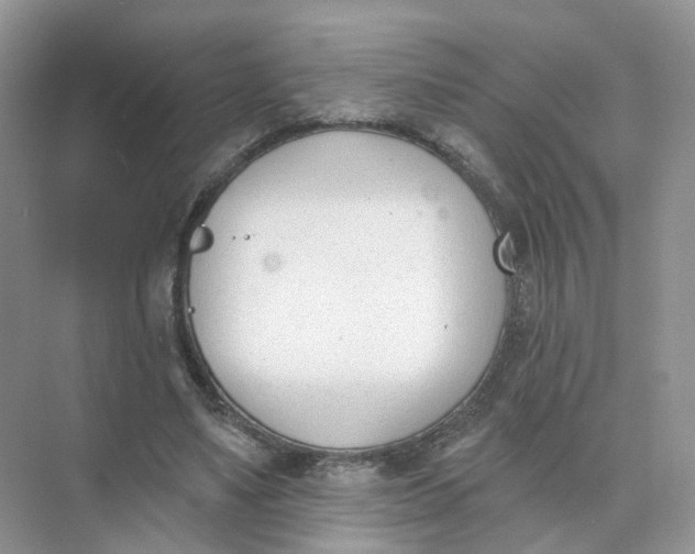 X0000073870491200608312056