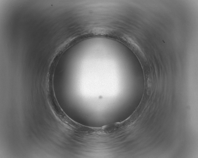 X0000073870492200608312056