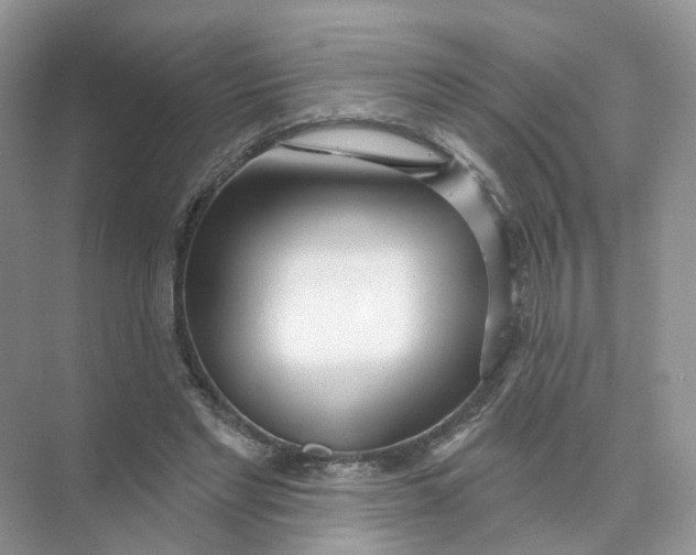 X0000073870493200608312056