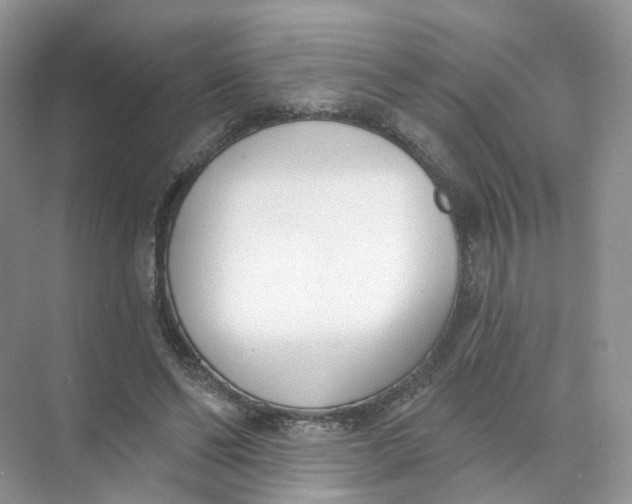 X0000073870494200608312056