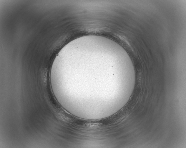 X0000073870495200608312056