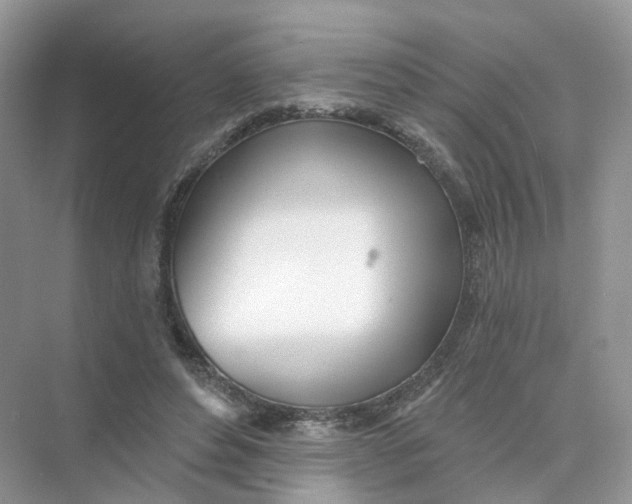 X0000073870496200608312056