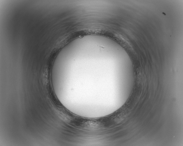 X0000073870498200608312056