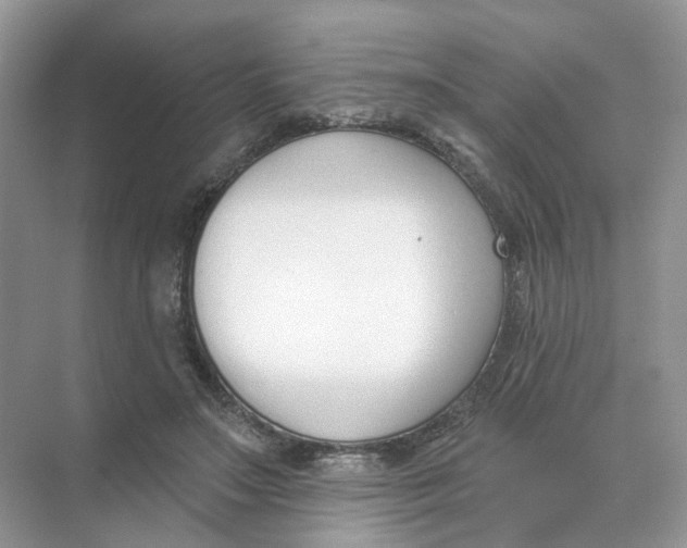 X0000073870499200608312056