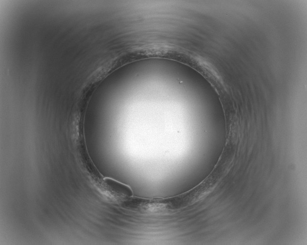 X0000073870501200608312056